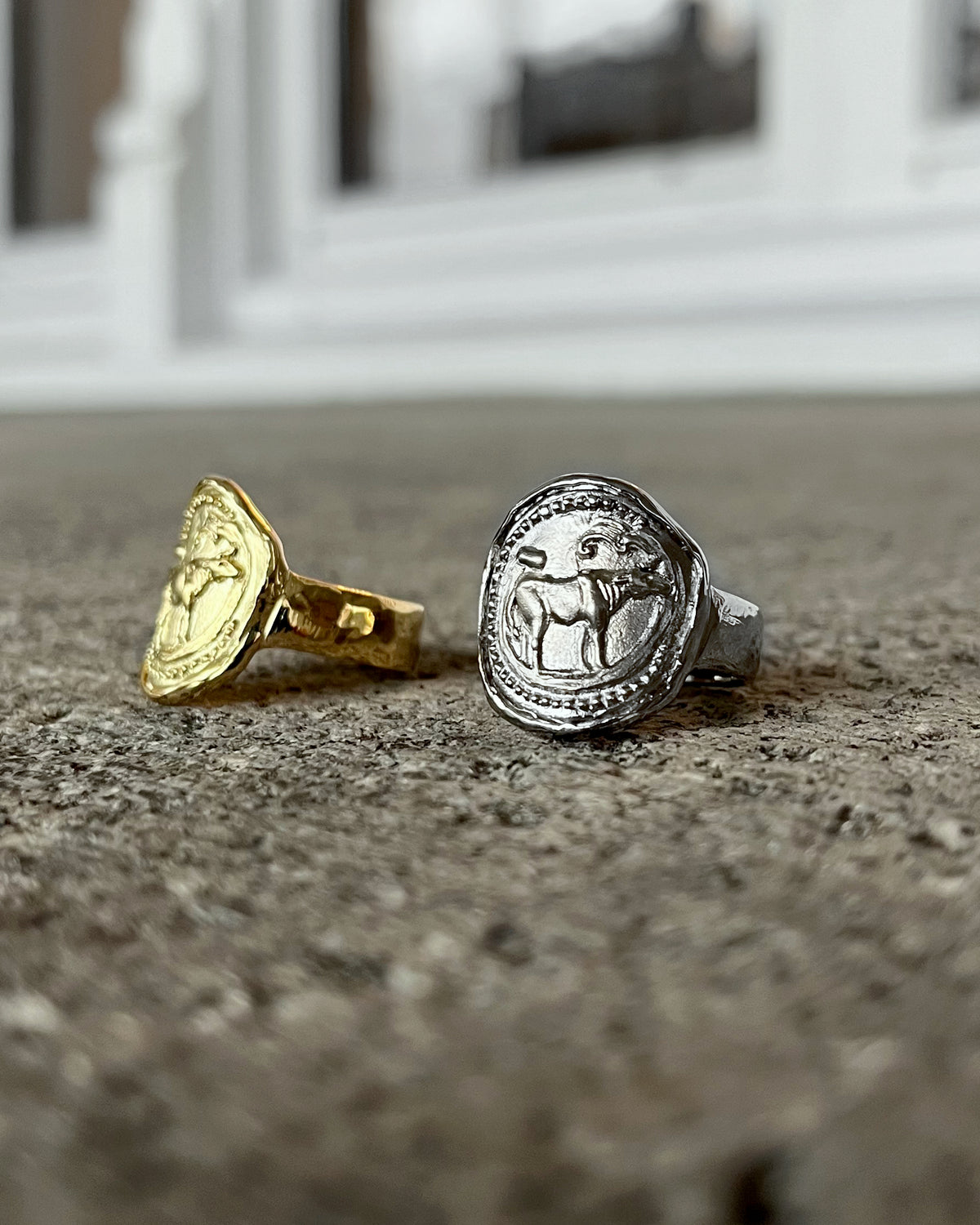 Sign of Zodiac - 8RB01W